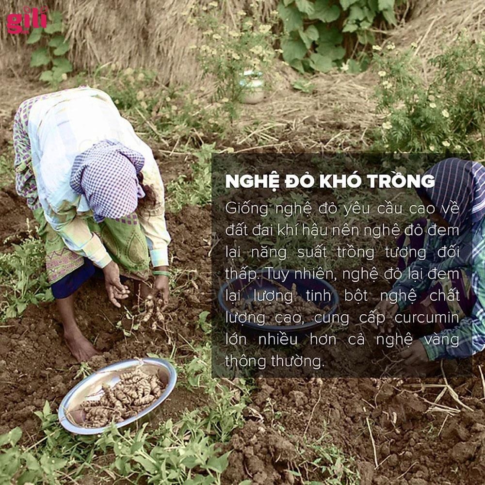 Tinh nghệ đỏ Toro 500gr chính hãng