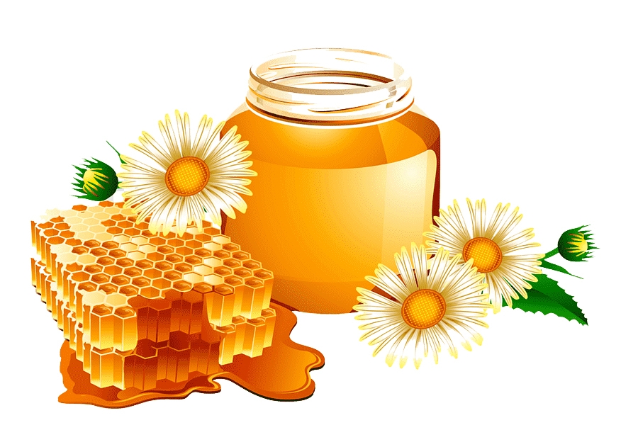 19 tác dụng thần kỳ của Mật Ong Nguyên Chất bạn phải biết!