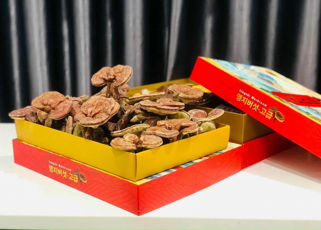 TÁC DỤNG CỦA NẤM LINH CHI