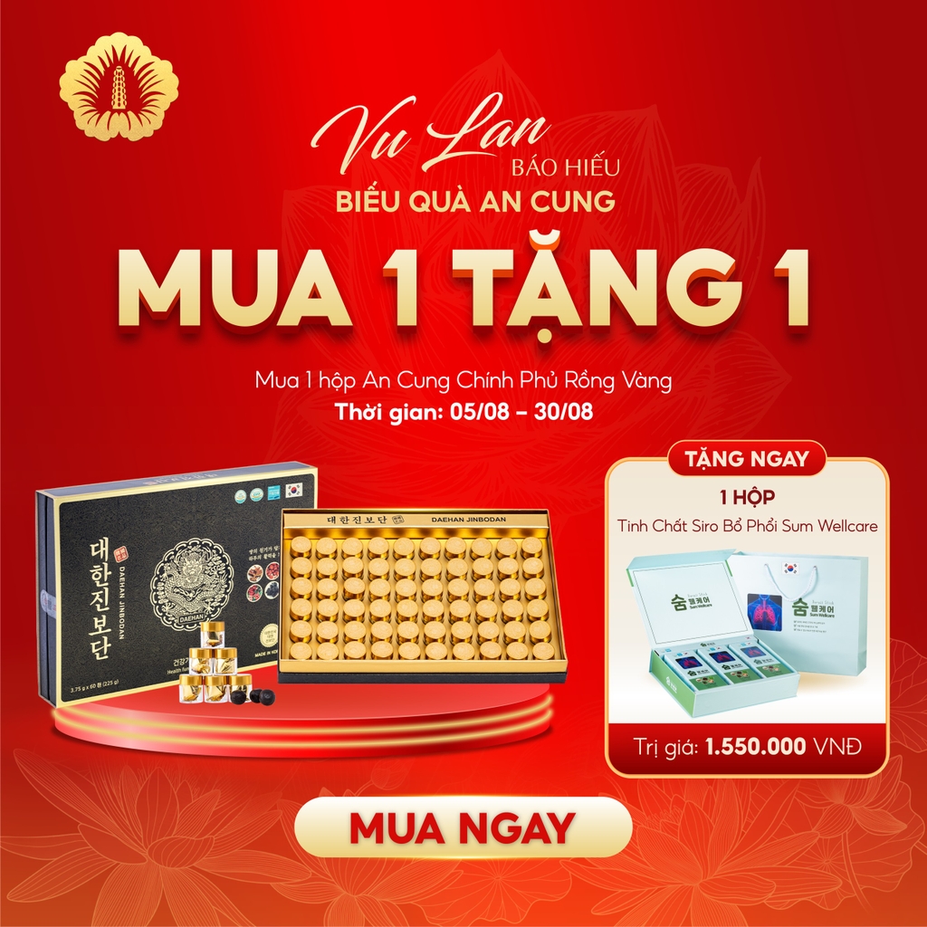 AN CUNG CHÍNH PHỦ RỒNG VÀNG