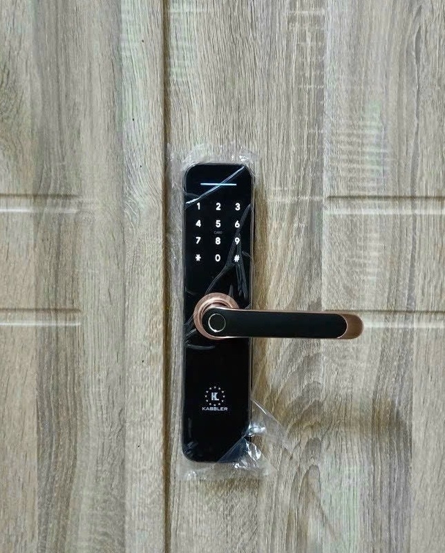 Khóa vân tay Kassler KL-668 App (Red Bronze)