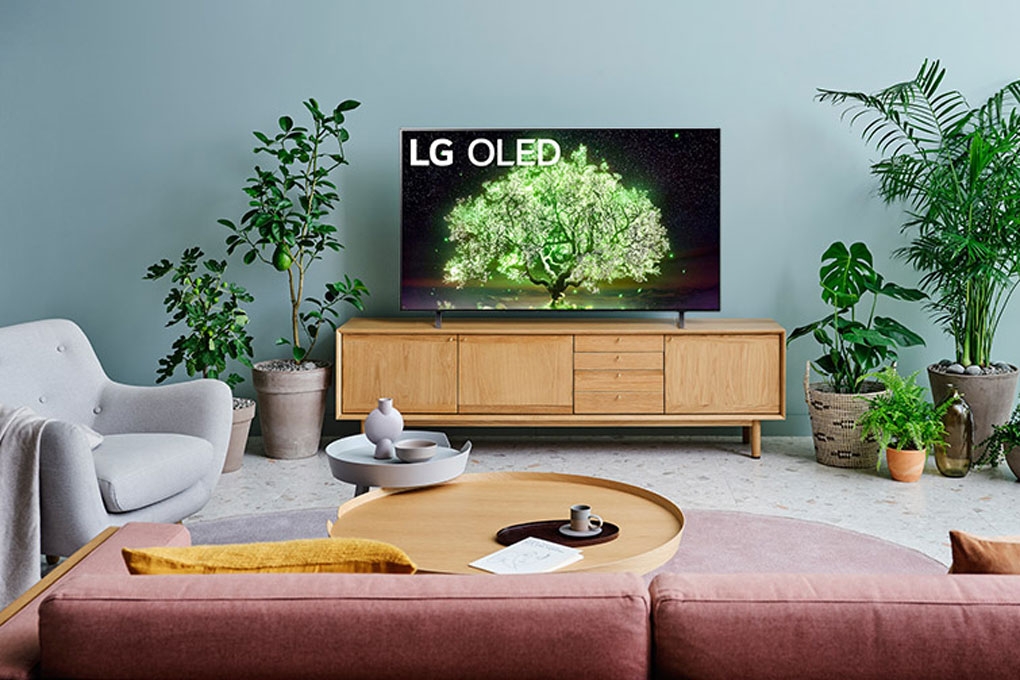Smart Tivi OLED LG 4K 48 inch 48A1PTA