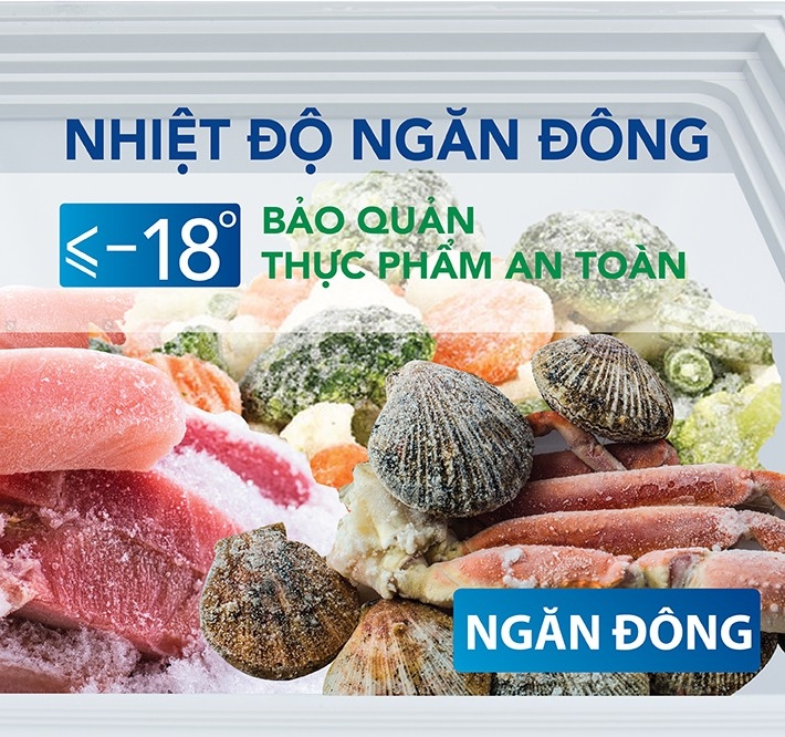 Tủ ĐÔNG Hòa Phát HCFI506s2đ2