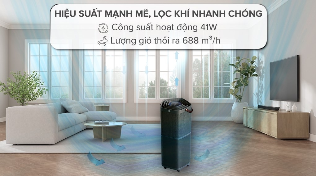 Máy lọc không khí Electrolux PA91-606DG 41W