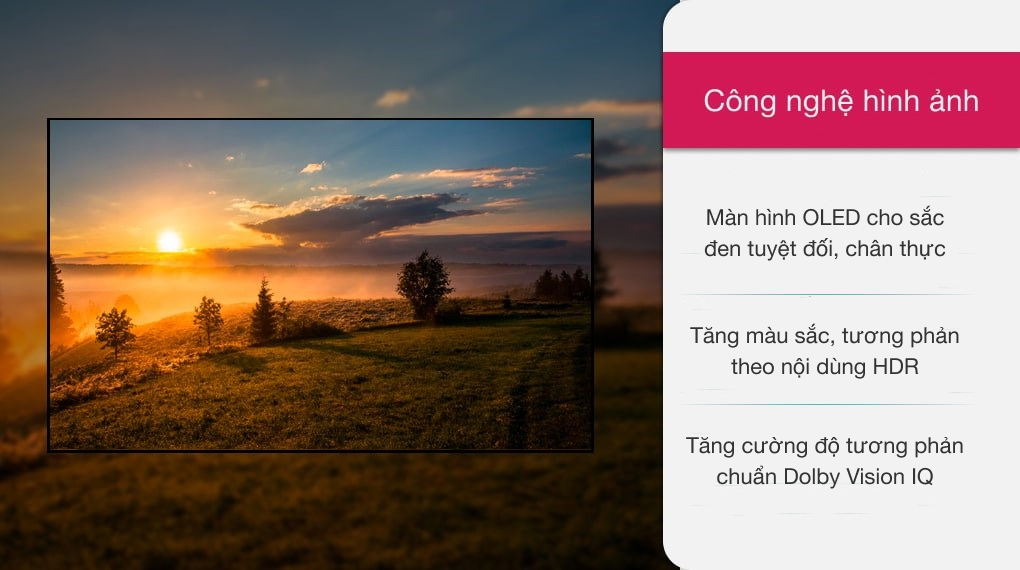 Smart Tivi OLED LG 4K 55 inch 55A1PTA