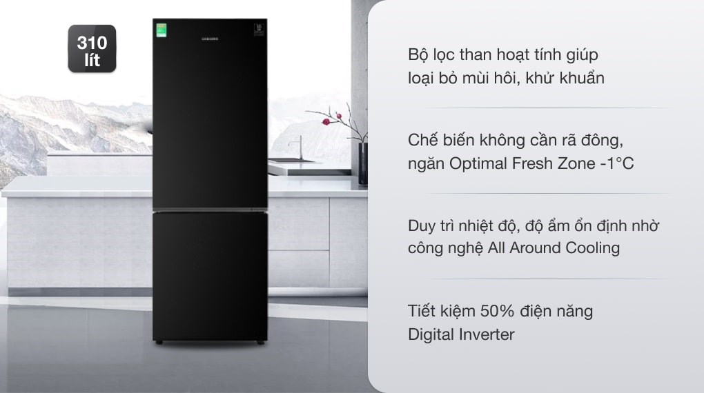 Tủ lạnh Samsung Inverter 310 lít RB30N4010BU/SV