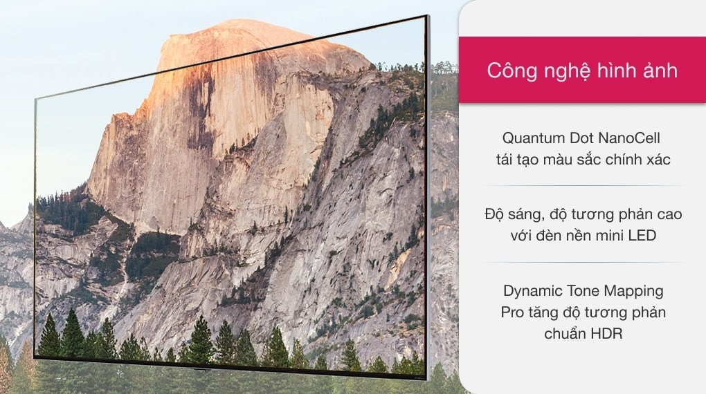 Smart Tivi QNED LG 4K 65 inch 65QNED91TPA