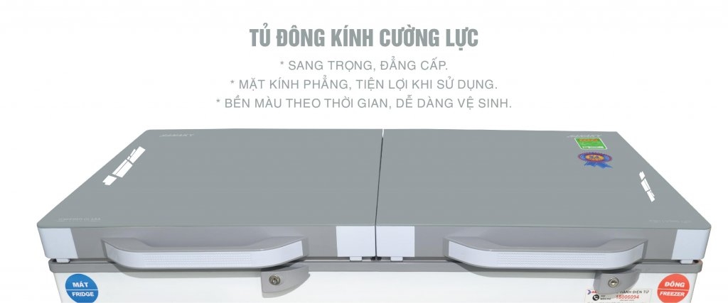 Tủ đông Sanaky Inverter 270L VH-3699A4K