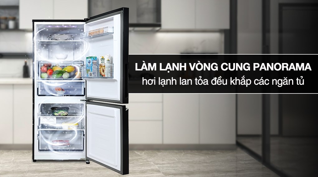 Tủ lạnh Panasonic Inverter 255 lít NR-BV281BGMV