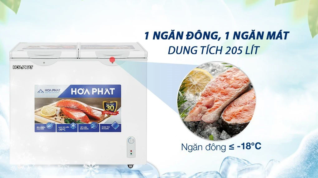 Tủ đông Hòa Phát 2 ngăn 2 cánh 205 lít HPF BN6205 ( Dàn Nhôm)