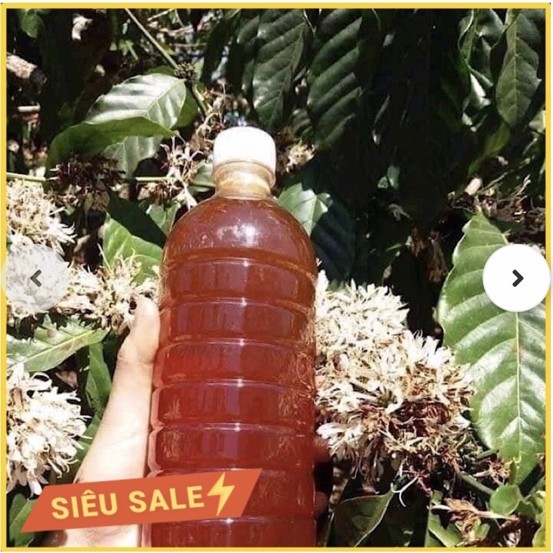 Mật ong hoa cà phê Nguồn dinh dưỡng quý giá