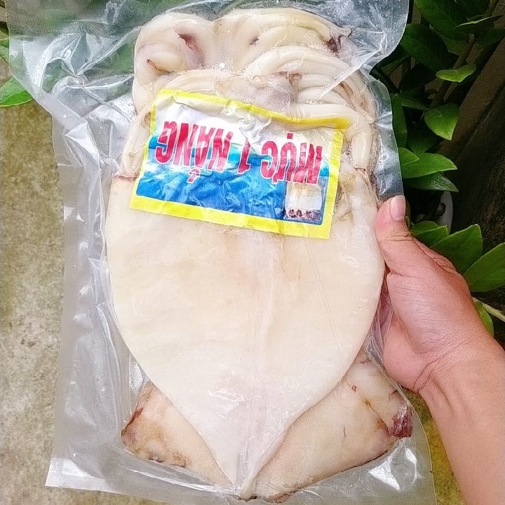 1. Giới thiệu về Mực Xà 1 Nắng