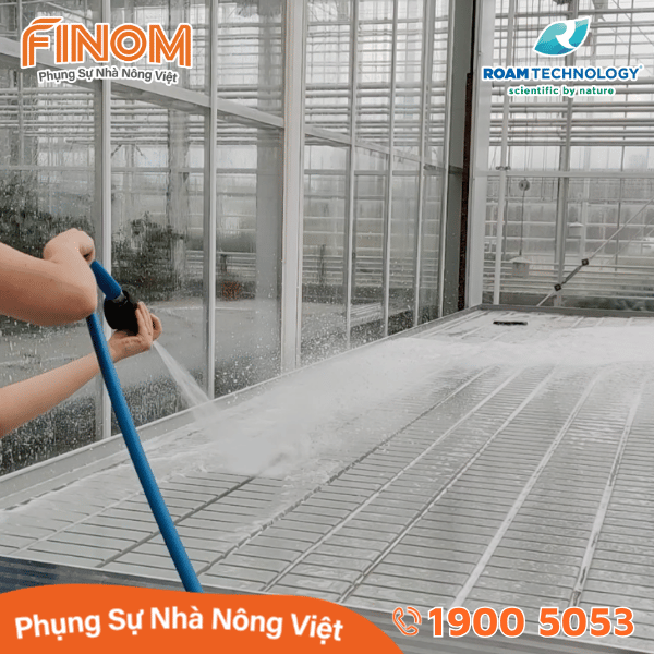 Dung dịch khử khuẩn Huwa-San - Can 5 kg