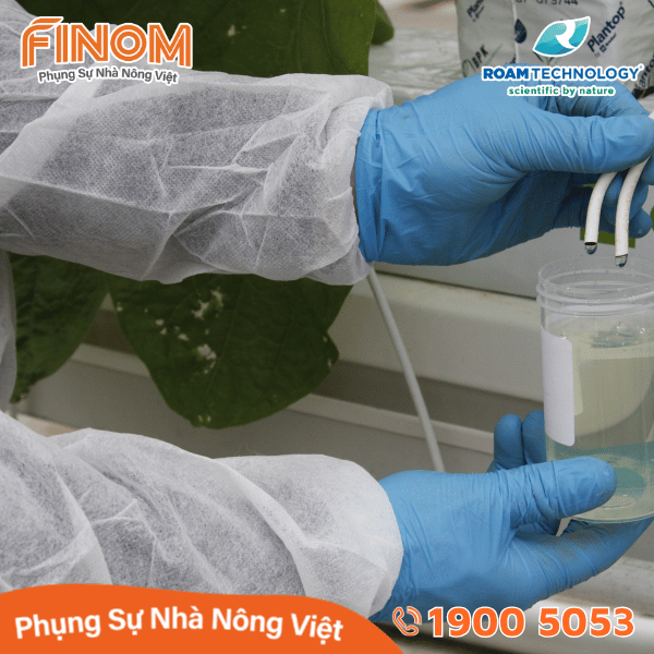 Dung dịch khử khuẩn Huwa-San - Can 5 kg