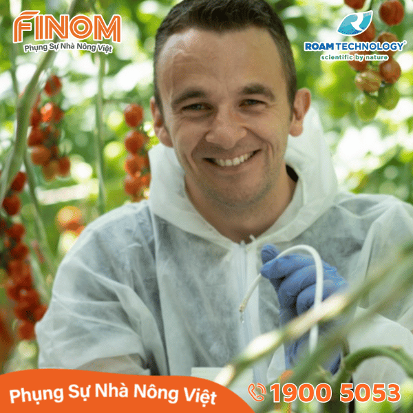 Dung dịch khử khuẩn Huwa-San - Can 5 kg