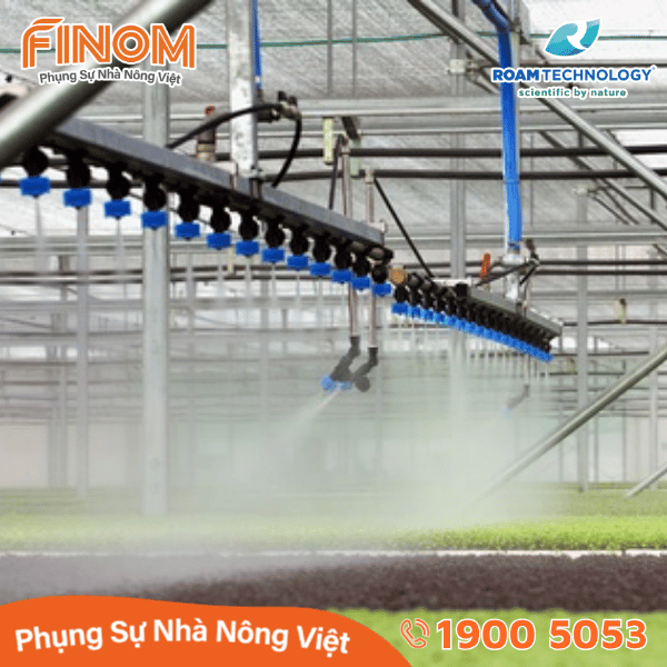Dung dịch khử khuẩn Huwa-San - Can 5 kg