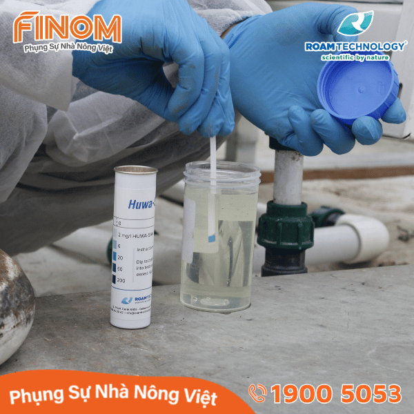 Que Test Peroxide (H₂O₂) Huwa-San – Tuýp 100 Miếng