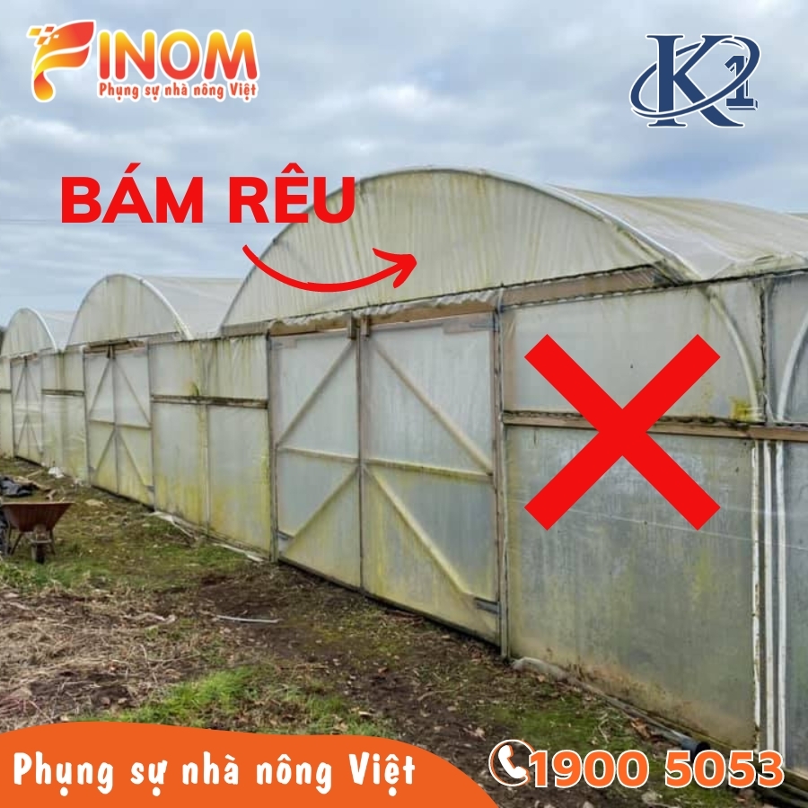 Màng lợp nhà kính 7 lớp K1 khổ 3.2 mét