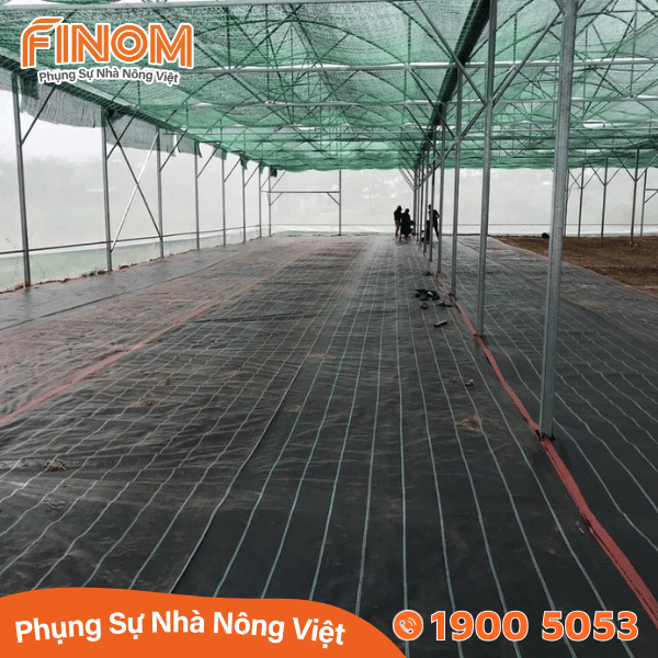Bạt địa phủ đất nông nghiệp 180 gram/m²