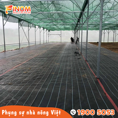 Bạt địa phủ đất nông nghiệp màu đen 110 gram/m2