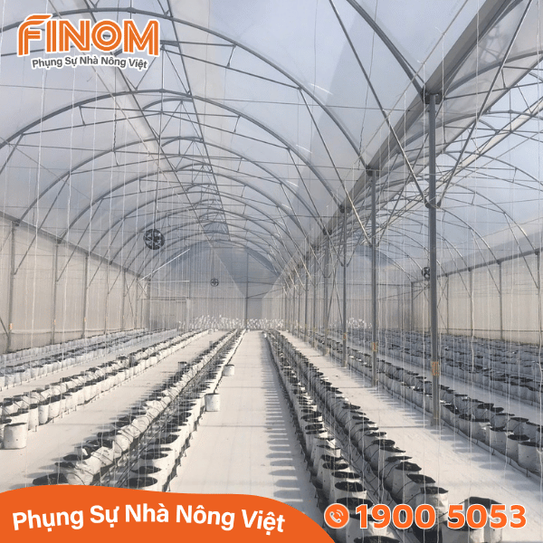 Bạt địa phủ đất nông nghiệp 120 gram/m²