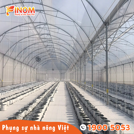 Bạt địa phủ đất nông nghiệp màu trắng 110 gram/m2