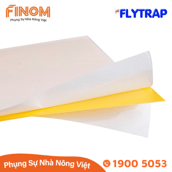 Bẫy dính côn trùng FLYTRAP (dạng tấm)