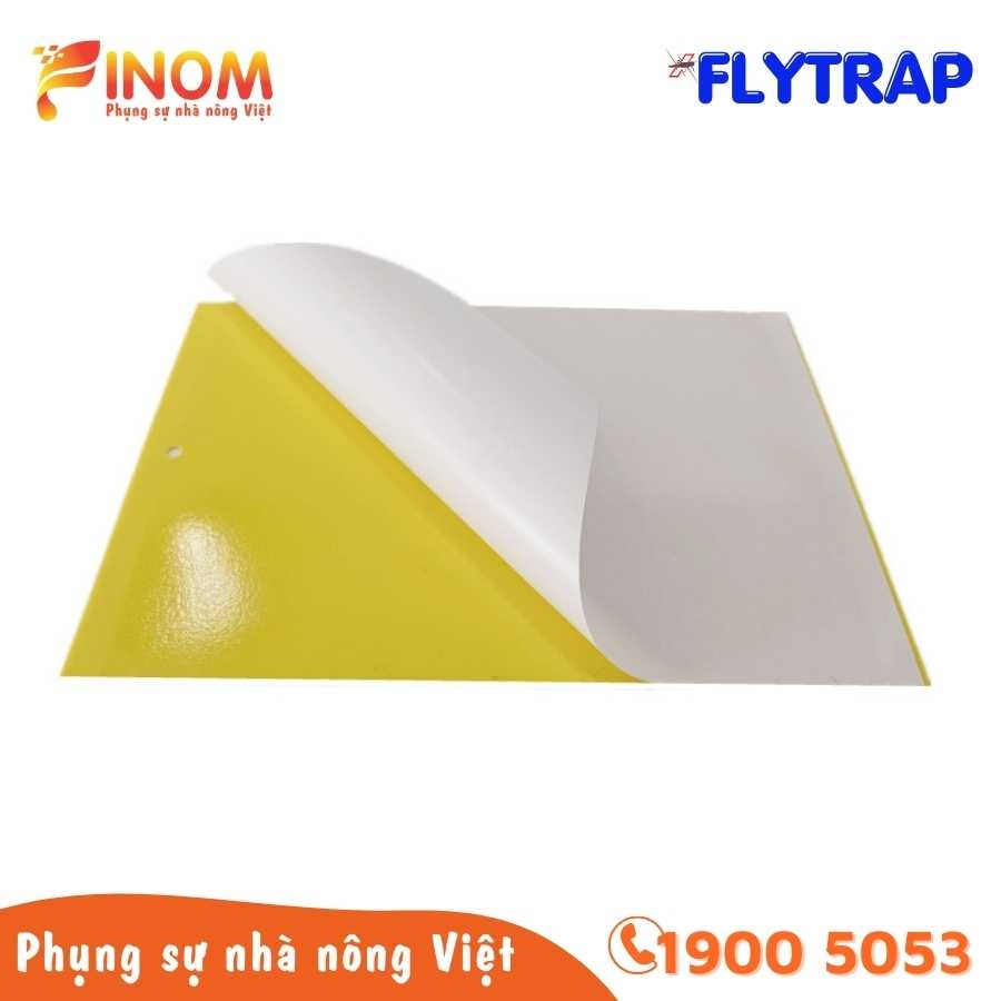 Bẫy dính côn trùng FLYTRAP (dạng tấm)
