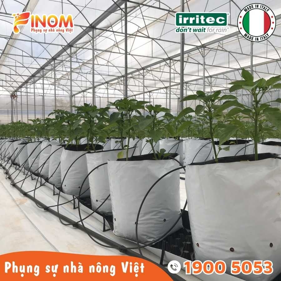 Bộ nhỏ giọt bù áp chia 2 ghim tưới KH2 Irritec