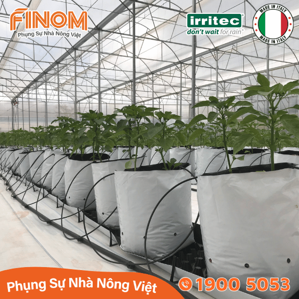 Bộ nhỏ giọt bù áp chia 2 ghim tưới KH2 Irritec