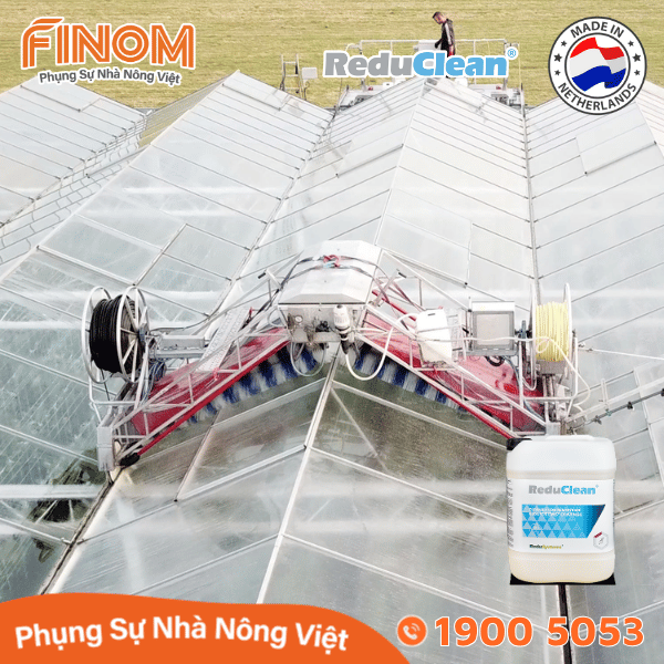 Dung dịch rửa sơn chống nóng chuyên dụng ReduClean