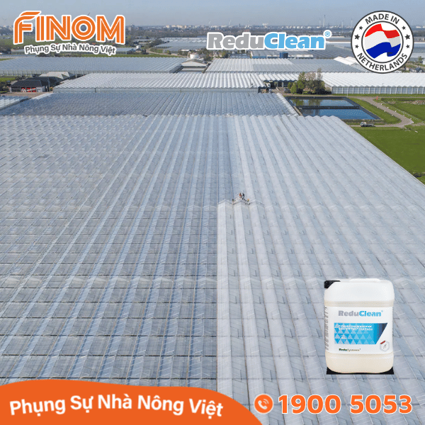 Dung dịch rửa sơn chống nóng chuyên dụng ReduClean