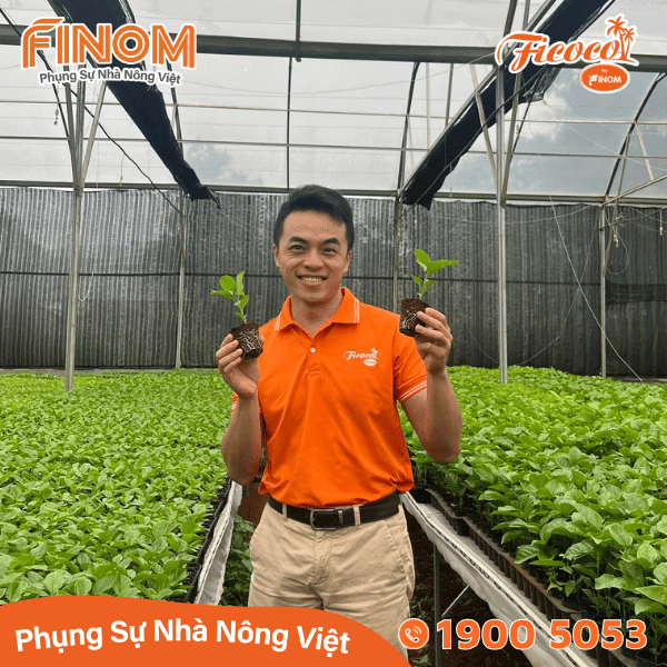 Giá thể xơ dừa ươm cây Coco Boost