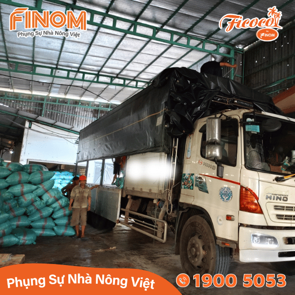 Giá thể xơ dừa xử lý xả chát 95/5