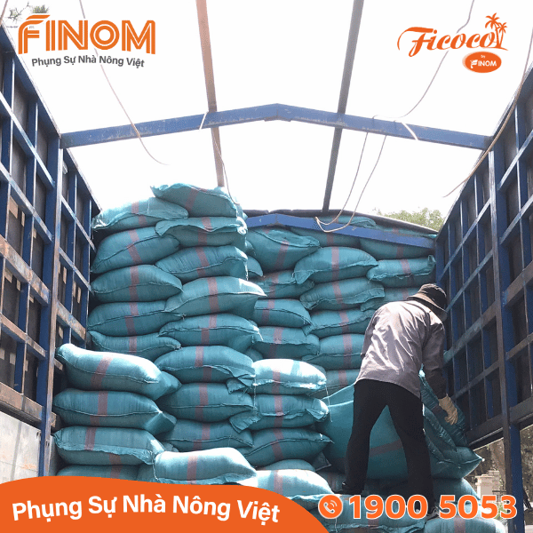 Giá thể xơ dừa xử lý xả chát 95/5