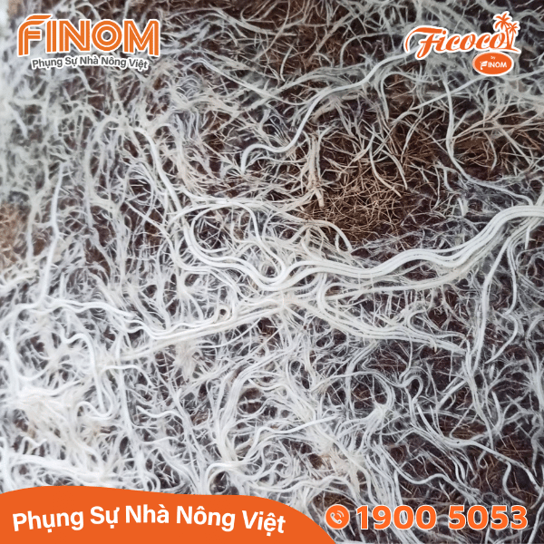 Giá thể xơ dừa xử lý Canxi 70/30