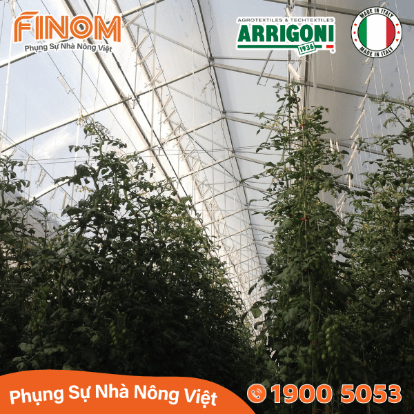 Lưới chắn côn trùng Arrigoni Biorete Air Plus 50 mesh - Khổ 4.2 x 50 mét