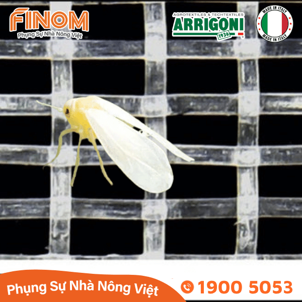 Lưới chắn côn trùng Arrigoni Biorete Air Plus 50 mesh - Khổ 2.1 x 50 mét
