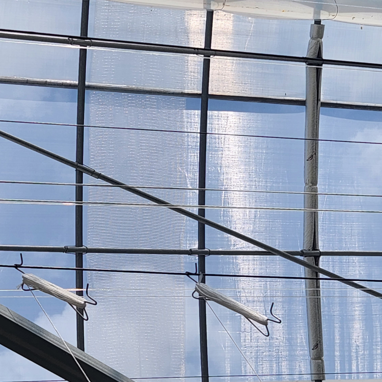 Lưới chắn côn trùng Arrigoni Biorete Air Plus 50 mesh - Khổ 4.2 x 50 mét
