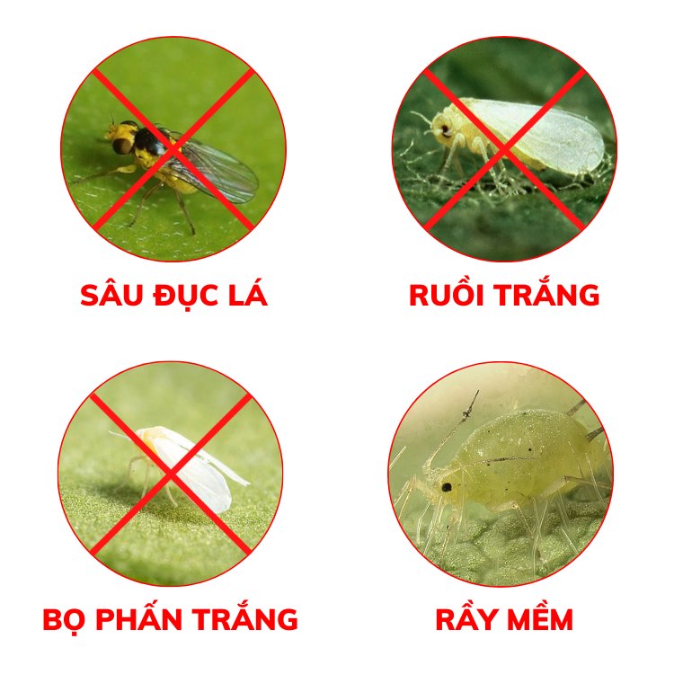 Lưới chắn côn trùng Arrigoni Biorete Air Plus 50 mesh - Khổ 4.2 x 50 mét