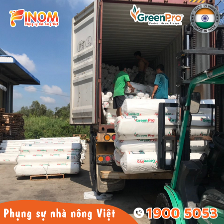Lưới chống côn trùng Ấn Độ 50 mesh Khổ 3.6 x 100 mét