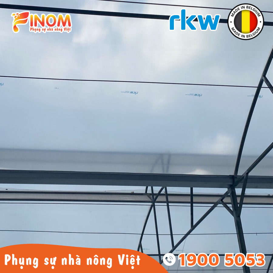 Màng lợp nhà kính châu Âu Hyplast 150 micron khổ 3.7 mét