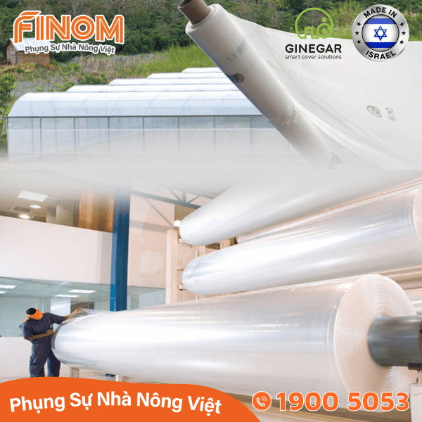 Màng lợp nhà kính 5 lớp Ginegar (Israel)