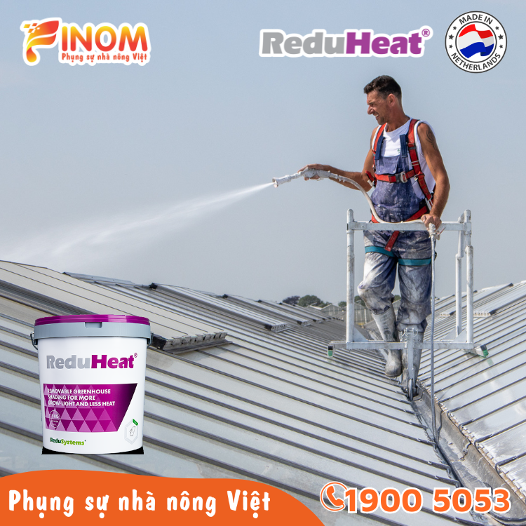 Sơn chống nóng nhà màng không rửa trôi Reduheat