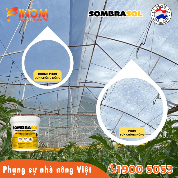 Sơn chống nóng nhà màng Sombrasol