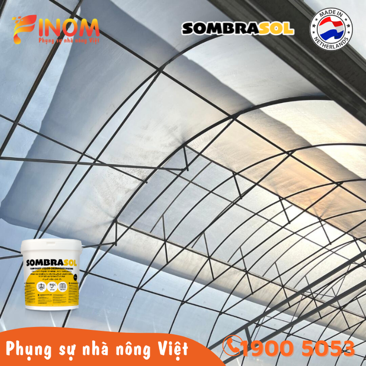 Sơn chống nóng nhà màng Sombrasol