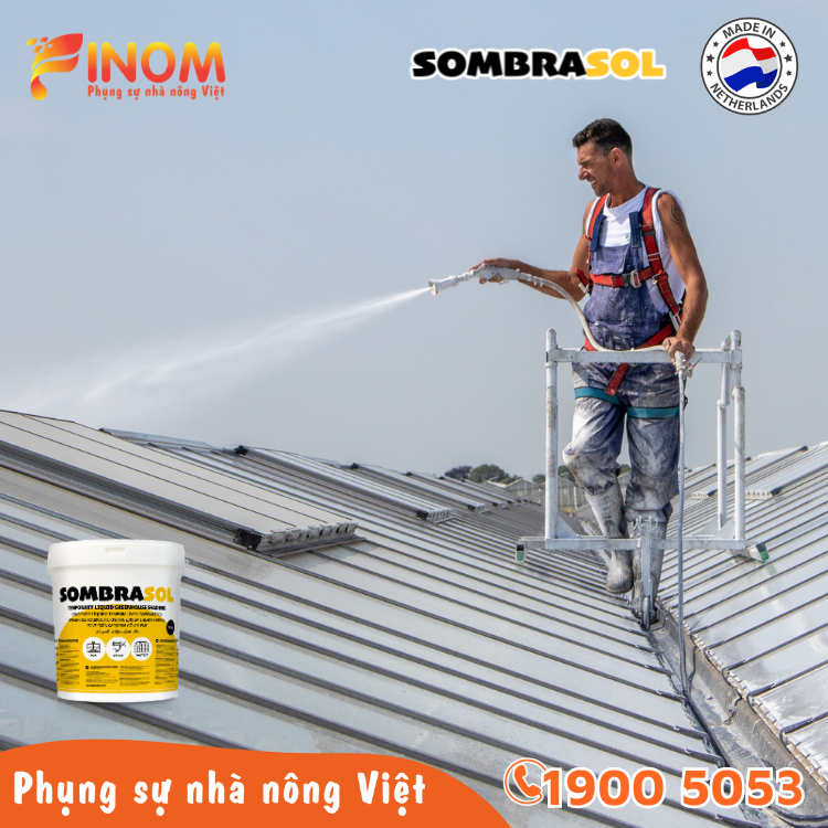 Sơn chống nóng nhà màng Sombrasol