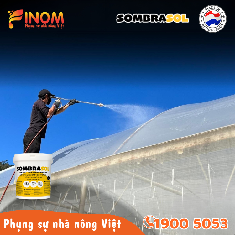 Sơn chống nóng nhà màng Sombrasol