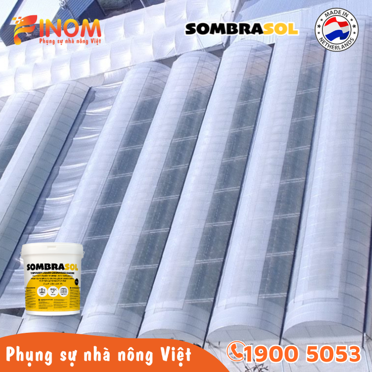 Sơn chống nóng nhà màng Sombrasol