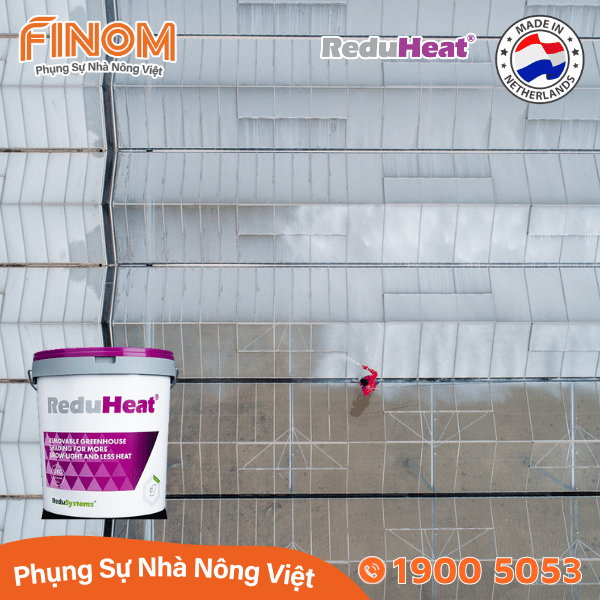 Sơn chống nóng nhà màng không rửa trôi Reduheat